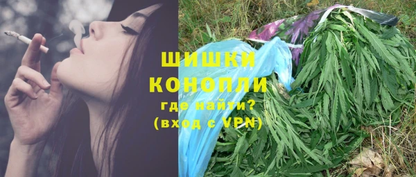 амф Анива